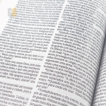 Bíblia 365 para Corajosas (NVT)